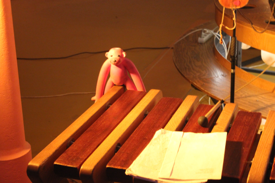 Petr Nikl: "Nikdy předem nevím, jak koncert dopadne."