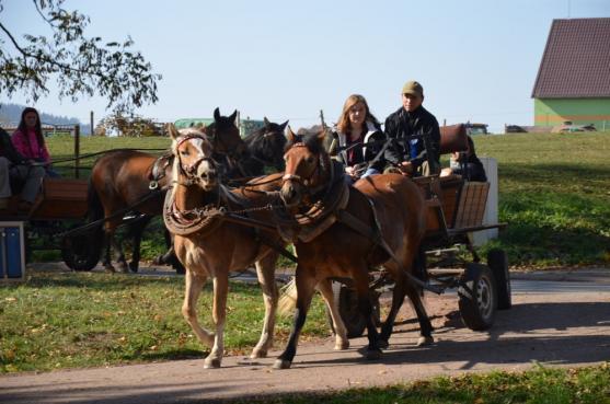 Hubertova jízda Jetřichov pomáhá 