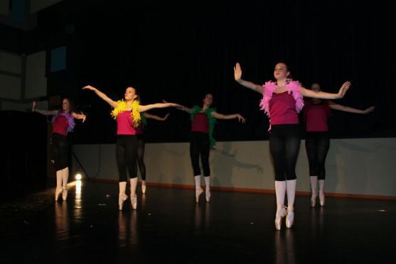 Koncert tanečního oboru ZUŠ Broumov oslavil 15 let práce učitelky a choreografky Heleny Ogriščenkové 