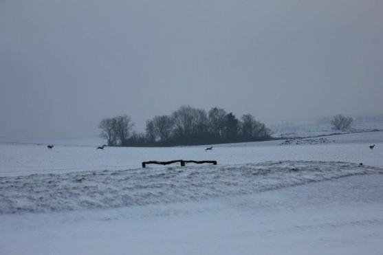 Grosshof je nejlepší devítijamkový golfový areál v ČR za rok 2015!