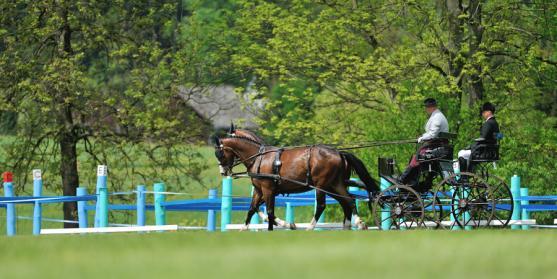 Jiří Nesvačil se stal vítězem v kategorii dvojspřeží při mezinárodních závodech koňských spřežení v Polici nad Metují