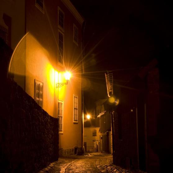 Zlomek z tvorby členky Královské fotografické společnosti