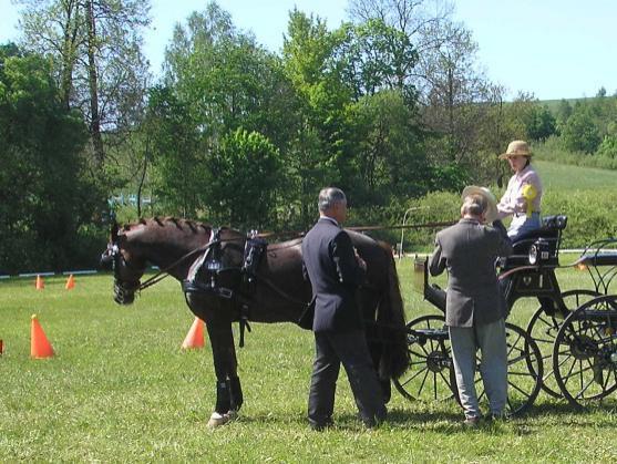 Mezinárodní závody koňských spřežení pořádali o víkendu v Polici nad Metují