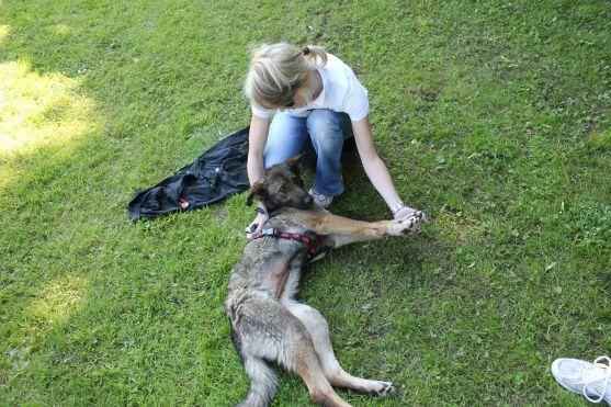 Střípky ze sobotního Trhu regionálních produktů