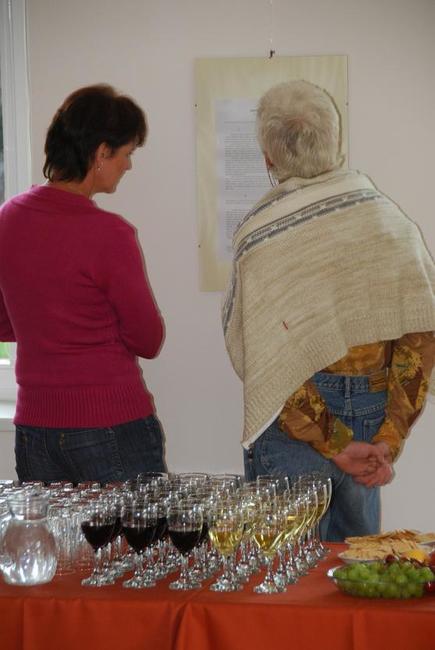 Na Terase Pellyho domů vystavuje Síň slávy Alžběta Čechová 