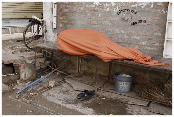 Indie na ulici. Výstava fotografií stále trvá, v pátek beseda o cestě s autorkou 