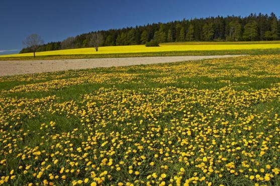 Globální geoparky dostaly značku UNESCO. Broumovsko je na cestě k získání statutu národního geoparku