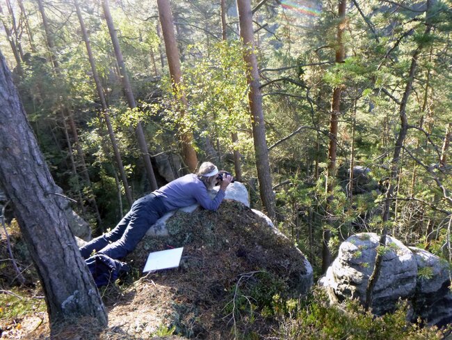Jsem zvědavý, jak se nový systém ujme