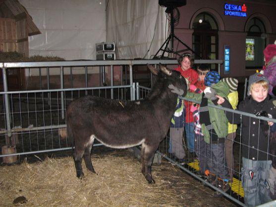 Broumov oslavil svátek Tří králů