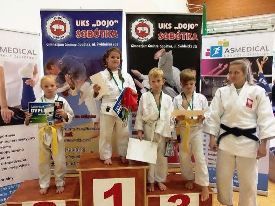 Judistka Anna Freiwaldová je oblastní přebornicí pro rok 2014