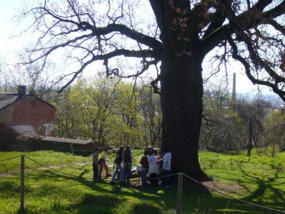 Broumovský klášter se připojí k celosvětovému Dni Země celotýdenním programem