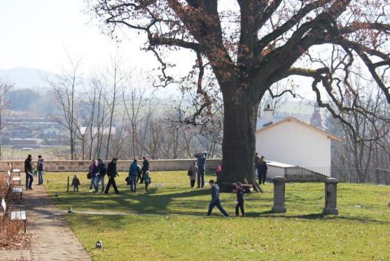 Hledání kuřátek přilákalo do kláštera téměř dvě stě dětí