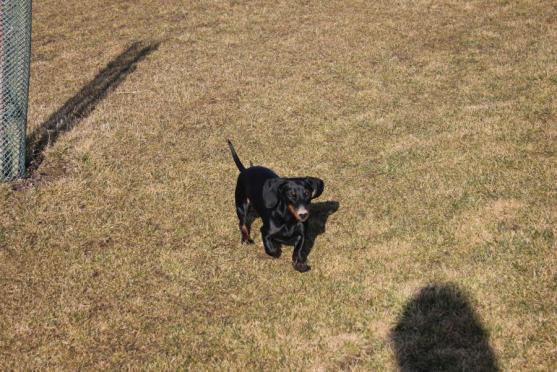 V Broumově se už hrál golf. Martin Chaloupka zve do Golf clubu Grosshof
