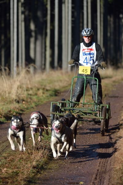 Letos se se psy běhalo a jezdilo na kárách, koloběžkách a kolech