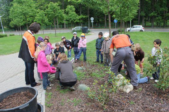 Den s arboristy v Naší zahradě