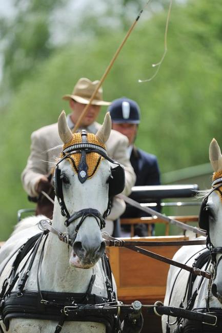Jiří Nesvačil se stal vítězem v kategorii dvojspřeží při mezinárodních závodech koňských spřežení v Polici nad Metují