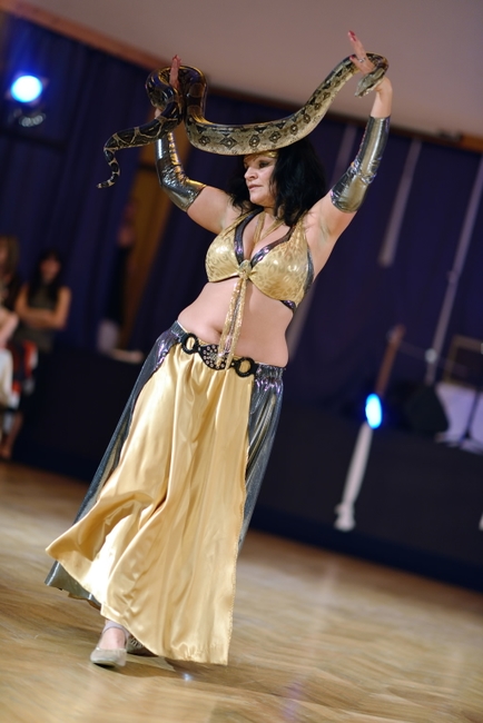 Velkolepý start plesové sezony ve městě. Dvě stovky návštěvníků na Plese města jsou toho důkazem