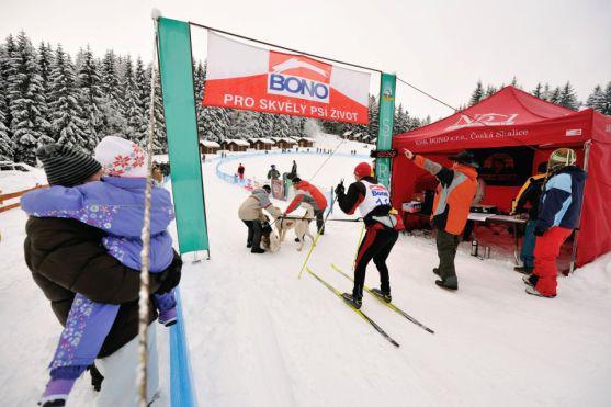 Na závody psích spřežení se na Janovičky u Broumova přišlo podívat 3 000 diváků