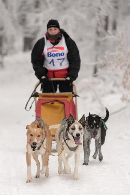 Janovičky patřily musherům a jejich psům