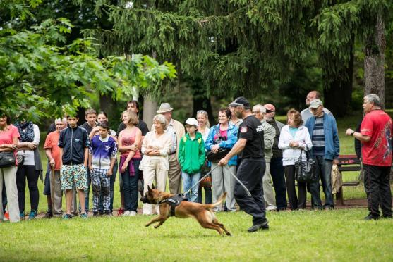 Soutěž českých a polských týmů zahájila sobotní program Broumovské pouti. Vyhrál domácí tým