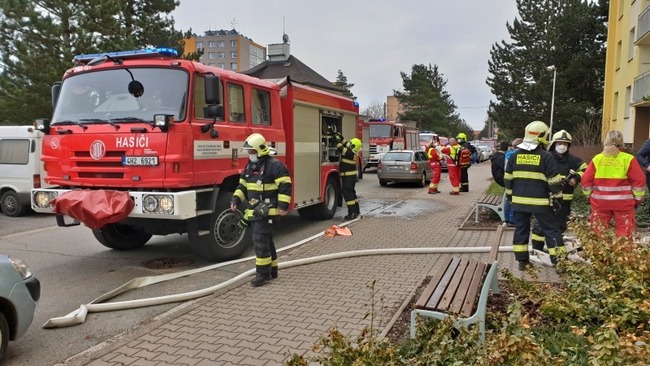 Zplodinami hoření se nadýchala kočka