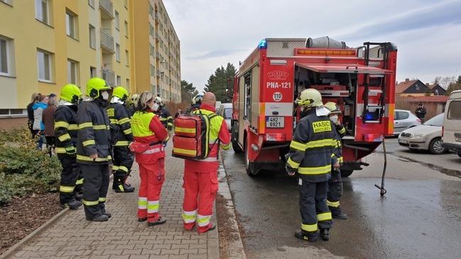 Zplodinami hoření se nadýchala kočka