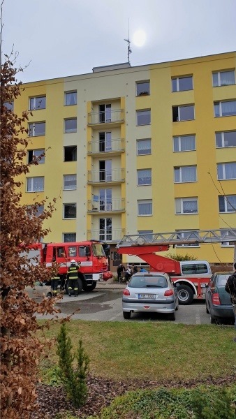 Zplodinami hoření se nadýchala kočka