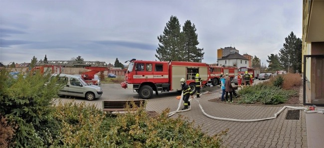 Zplodinami hoření se nadýchala kočka