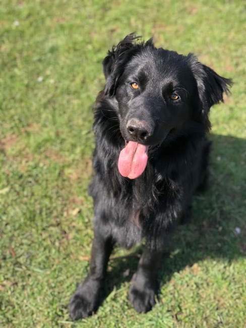 Emil Kopecký se chystá na cestu kolem republiky po hraničních patnících