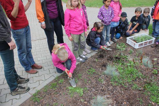 Den s arboristy v Naší zahradě