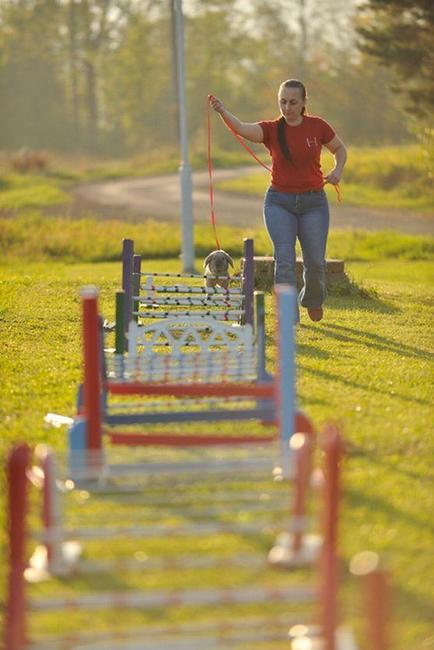 Králíci z Broumova uspěli na Grand Prix v Poděbradech