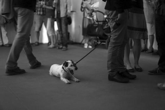 V Galerii Dům začala druhá letošní výstava. Má název Vedlejší efekt 