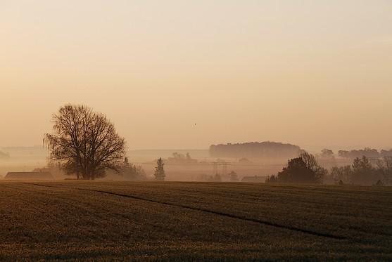 Broumovsko na fotografiích Dagmary Dušánkové