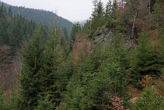 Globální geoparky dostaly značku UNESCO. Broumovsko je na cestě k získání statutu národního geoparku