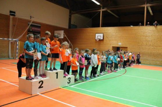 Lednové volejbalové akce