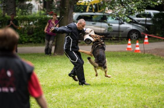 Soutěž českých a polských týmů zahájila sobotní program Broumovské pouti. Vyhrál domácí tým