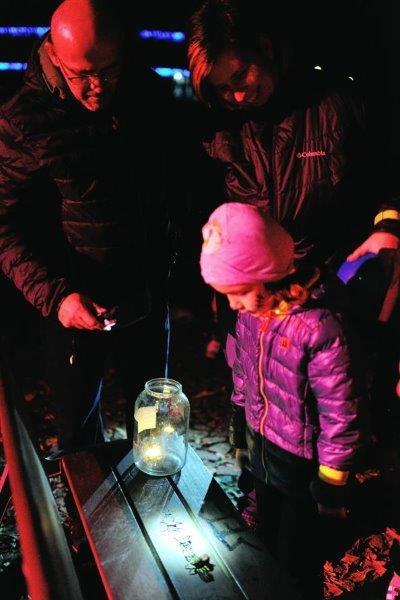 Alejka již popáté patřila čarodějkám, elfkám, smrtkám...