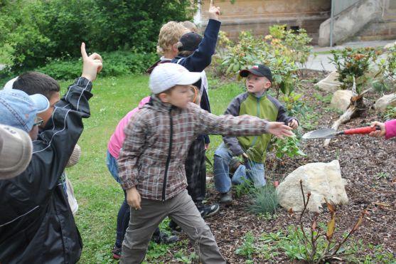 Den s arboristy v Naší zahradě