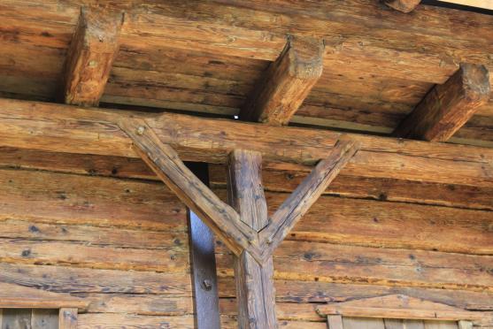 Nápadný půvab polských Sudet aneb Cesta do Berthelsdorfu