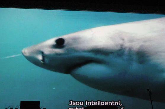 Spot Navštivte Broumovsko dostal Cenu poroty na festivalu Tour region film v Karlových Varech 