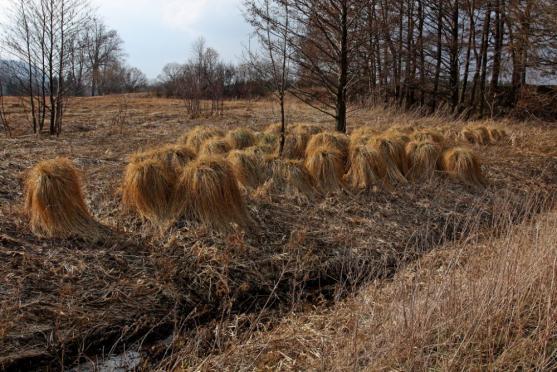 Globální geoparky dostaly značku UNESCO. Broumovsko je na cestě k získání statutu národního geoparku