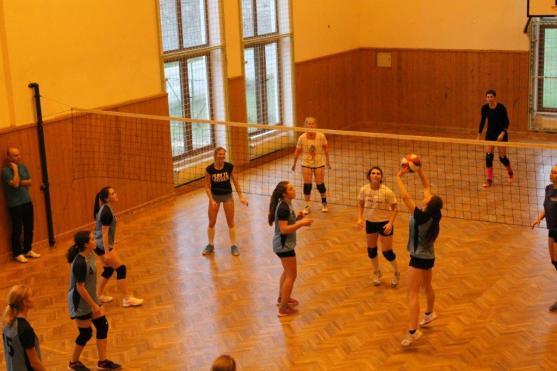 Volejbalisti mají stále co na práci