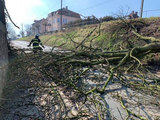 Vedle koronaviru hasiči řeší i běžné problémy