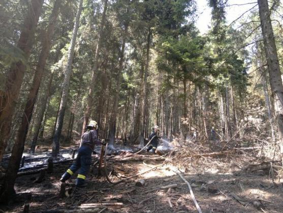 Hasiči likvidovali požár lesního porostu u Ruprechtického Špičáku