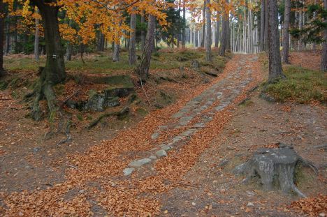 Nabídka akcí na Broumovsku pro víkend 24. - 26. května