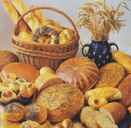 Turistická oblast Broumovsko bude vystavovat na brněnském veletrhu cestovního ruchu