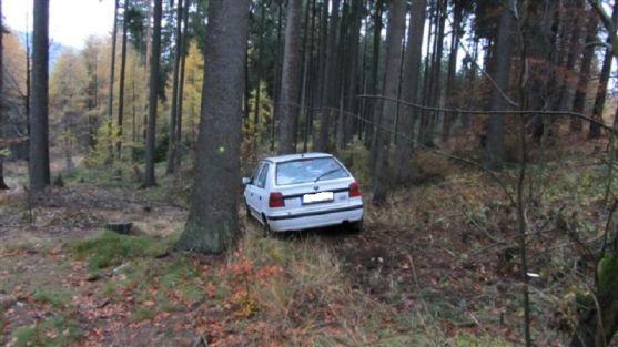 Řidička nezvládla řízení a sjela do lesa 