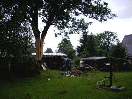 Blesk v Bohdašíně rozštípl vzrostlý strom