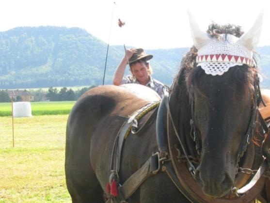 Kvalifikace koní na mistrovství republiky se jela v Martínkovicích u Broumova