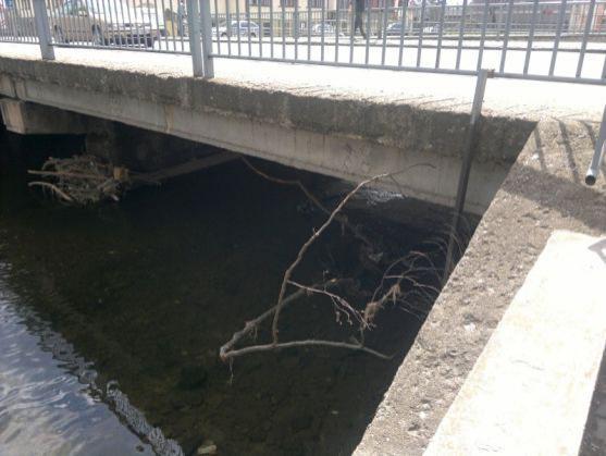 Hasiči vytáhli ze Stěnavy topícího se muže